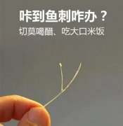 ������������Ӧ����δ������Ͼ�ȡ��̹�ʲô�ƣ���Ʒ